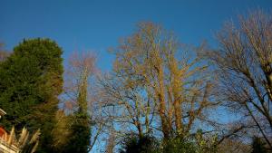 Thornybank - Turmuligheter, Cromer