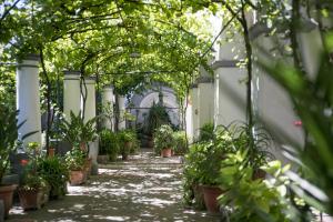 Elisir B&B - Terras, Anacapri