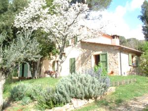 Casa Jacaranda - Holiday homes, Monteverdi Marittimo