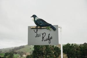 Tui Ridge Cottage