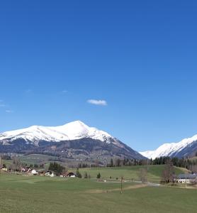 Greimblick
