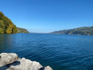 See und Berge Family - 3星级酒店, Faulensee