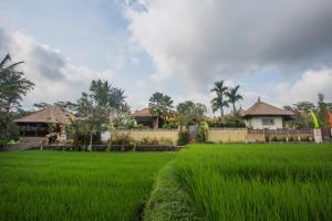 Ubud Luwih Nature Retreat - Bed and breakfasts, Ubud