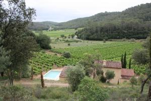 Small vineyard in Provence - ヴィラ, ル・トロネ