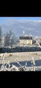 Arney Lodge Farm - Neklasifikovaný, Newtownstewart