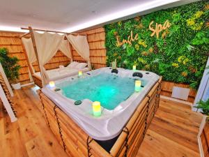 JUNGLE SPA-4 Pers-Jacuzzi-Parking-Jardin-Clim-Colmar