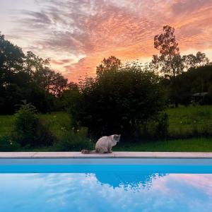 La Maison aux pieds des Pyrénées - Piscine d'exception de 25m - 3つ星ホテル, Espoey
