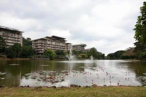 Pico De Loro Room Rate