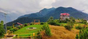 Orchard Green Dummi