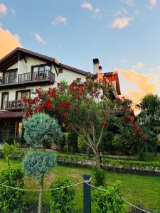 Cevizdibi Hotel - Hotels, Masukiye