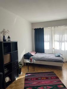 A cute room with 1,5 bed in shared flat - Penziony, Arni Alp