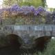 Un petit coin de paradis, Champigny-sur-Veude - Foto 4