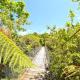 TePopo Gardens Rural Retreat, Stratford - Kuva 6