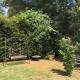 The Best Exotic Magnolia Cottage, Bundanoon - Fotografie 4