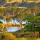 Riverview Rise Retreats, Mannum - Foto 7