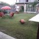 La Chacarita apart, San Fernando del Valle de Catamarca - Foto 9