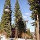 Silver Star Retreat, Ponderosa Fairway Estates - Fotografie 3