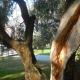 Olive Tree House, Riva del Garda - Foto 1