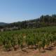 Le Mas des Vignes, Bandol - Foto 8