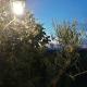 Tenuta Colverano, Montefalco - Foto 8