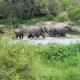 Simbavati River Lodge, Reserva Timbavati - Foto 10