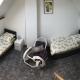 Ferienwohnung auf denkmalgeschütztem Sturmhof, グレーフラート - 写真 5