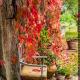 Le Bumbarelle, Tavoleto - 写真 6