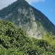 Kaye Mango, Soufrière - Photo 8