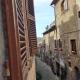 Viterbo Antica - centro storico, Viterbo - Fotografie 9