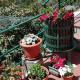 Casa Ofelia, レヴァント - 写真 3