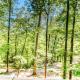 Doe Heights Chalet, Batesville - 写真 10