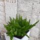 Le Bifore B&B, Molfetta - Foto 8
