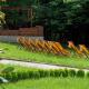 Eco Complex Sherba, Debelets - Photo 8