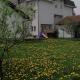 Guesthouse Jelic, Teslić - Foto 2