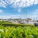 Studio Les Deux voiles-3 by Interhome, Cogolin - Photo 5