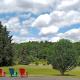 Elm Tree Motel, Craryville - Photo 8