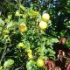 Squirrel's End, Cape Town - Foto 6