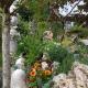 Nel giardino di Dafne, Stresa - Foto 5