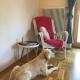 MILLIEs hosting - Familienurlaub mit Hund in Kärnten, Sankt Paul im Lavanttal - Φωτογραφία 6
