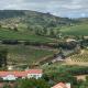 Quinta Ribeira do Labrador - Lisbon West Wine Route, アレンケル - 写真 3