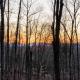 Mountain Retreat Nesteled in the Virginia Foothills, シャーロッツヴィル - 写真 3