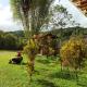 Senz Chalet Riverside - Mindo, Mindo - Foto 6
