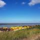 Residenz Knechtsand 2, Cuxhaven - Photo 8