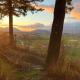 Tiny House Big View, Chilliwack - Photo 6