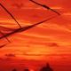 Sajhome Fortkochi, Kochi, Kerala, inda, コーチ - 写真 2