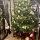 Private House Scherbovets, ズデンニュオ - 写真 9