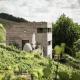 Gästehaus im Weingut am Stein, ヴュルツブルク - 写真 2