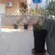 Venetia' s house, Kalamata - Fotografie 9
