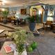 Hotel Edelweiss Kitzbühel, Kitzbühel - Foto 3