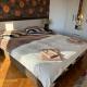 Porodični Apartman Igalo, Igalo - Fotografie 9